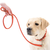 Round-stitched leather collar - COLLAR SOFT - different colours