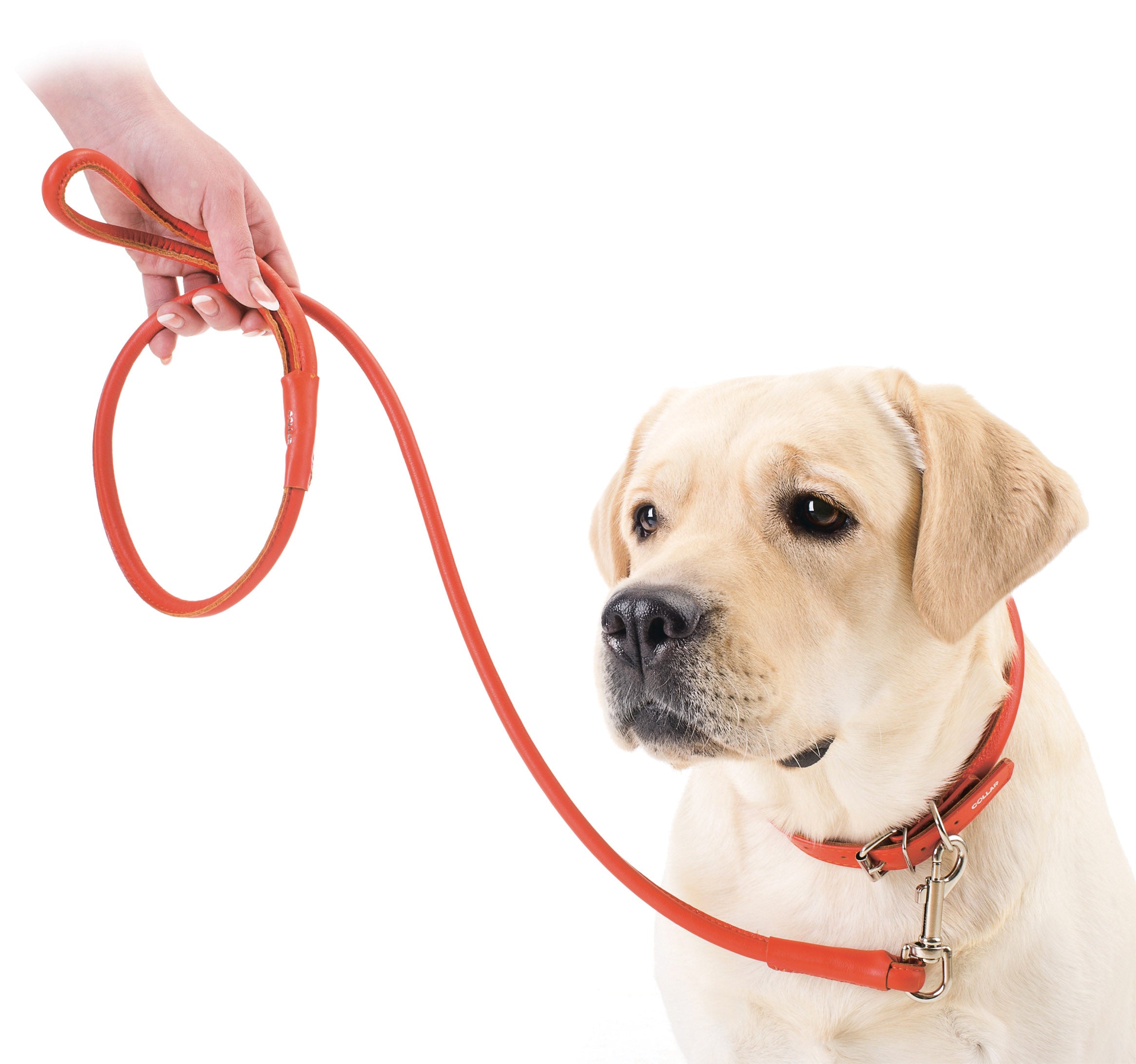 Round-stitched leather collar - COLLAR SOFT - different colours