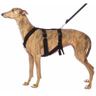 SOFA DOG Safety Sport Harness/Harness Double Y
