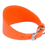 Leather collar for (among others) greyhounds - Collar Glamor - different colours