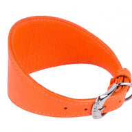 Lederen halsband voor (oa) windhonden - Collar Glamour - verschillende kleuren