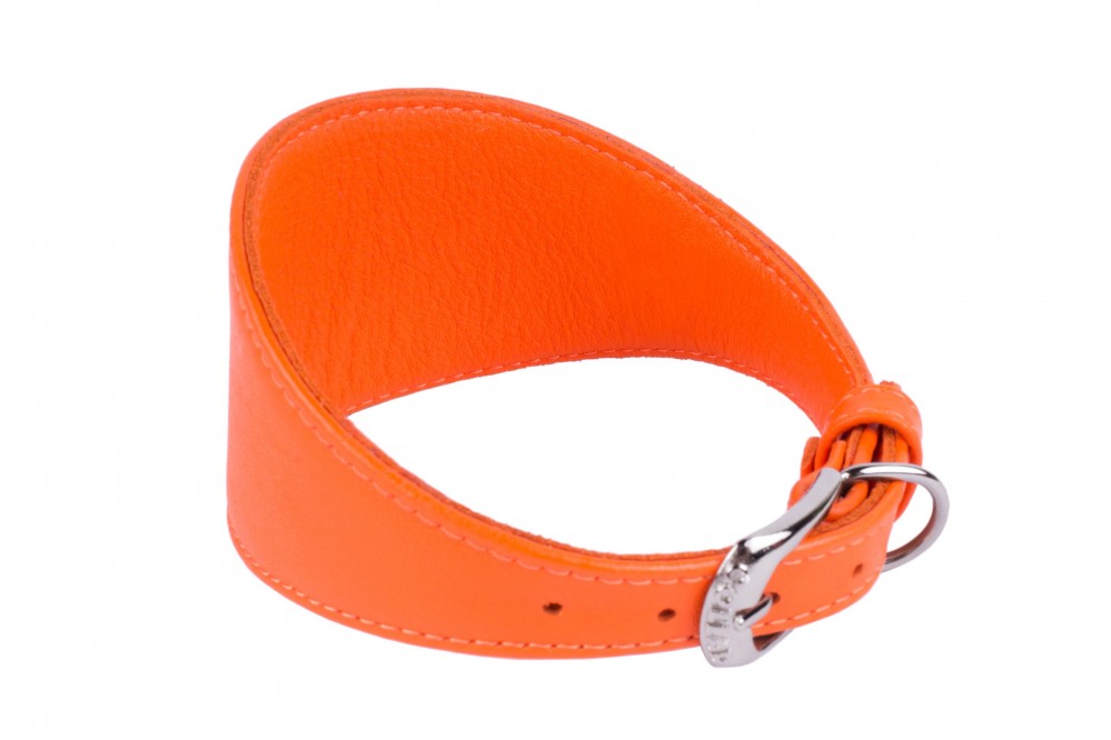Leather collar for (among others) greyhounds - Collar Glamor - different colours