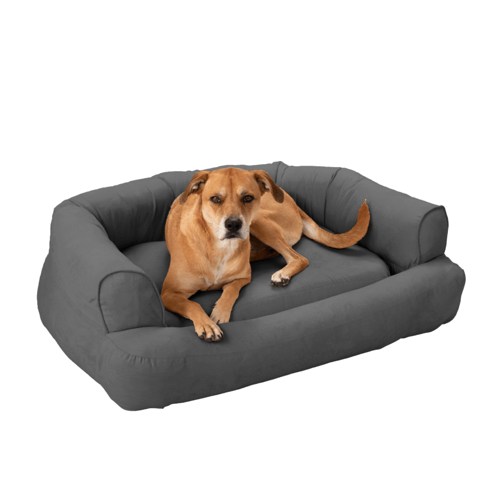 Snoozer Pet Products - Orthopedic Dog Bed with Memory Foam - Anthracite