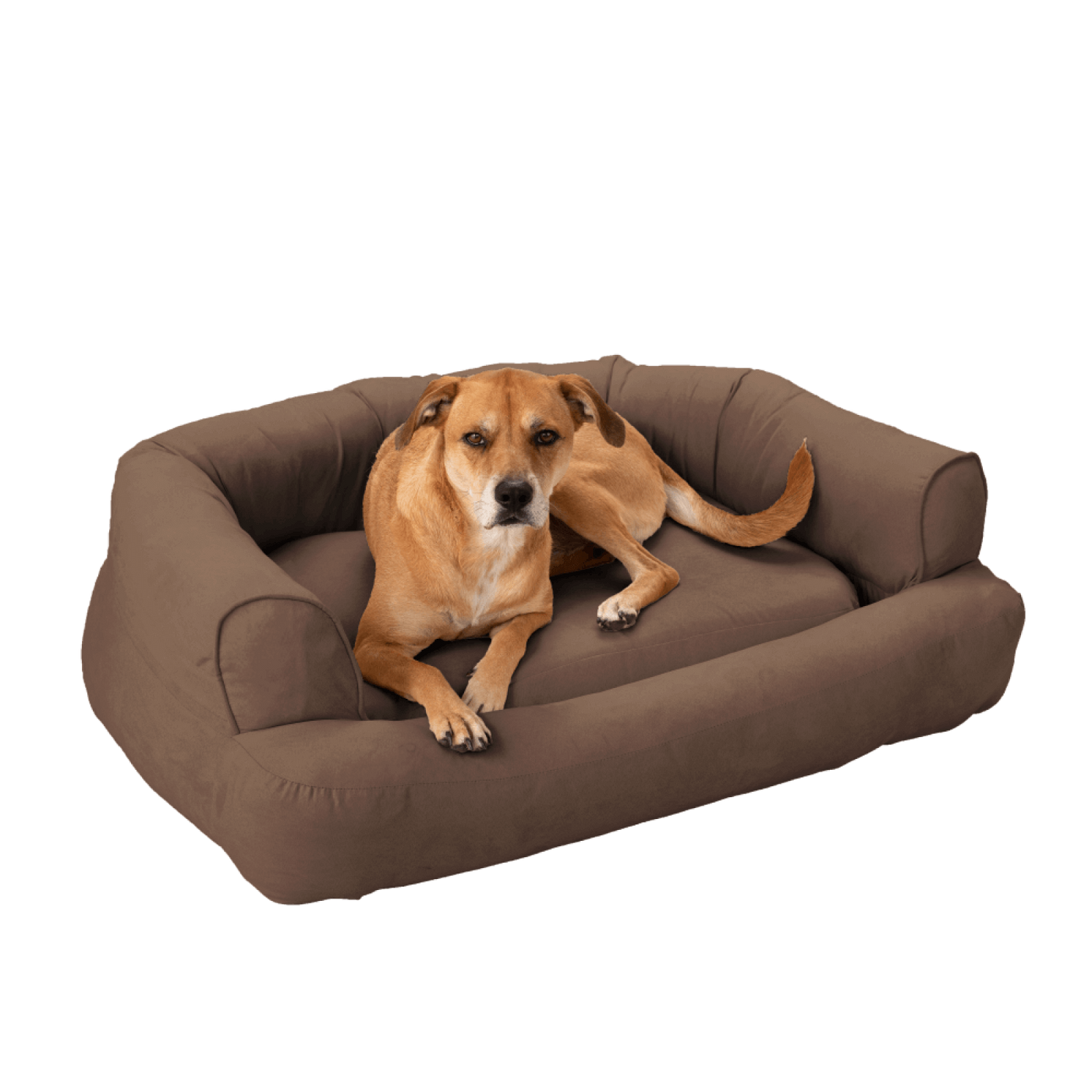 Snoozer Pet Products - Orthopedisch Hondenbed met Memory Foam - Anthracite