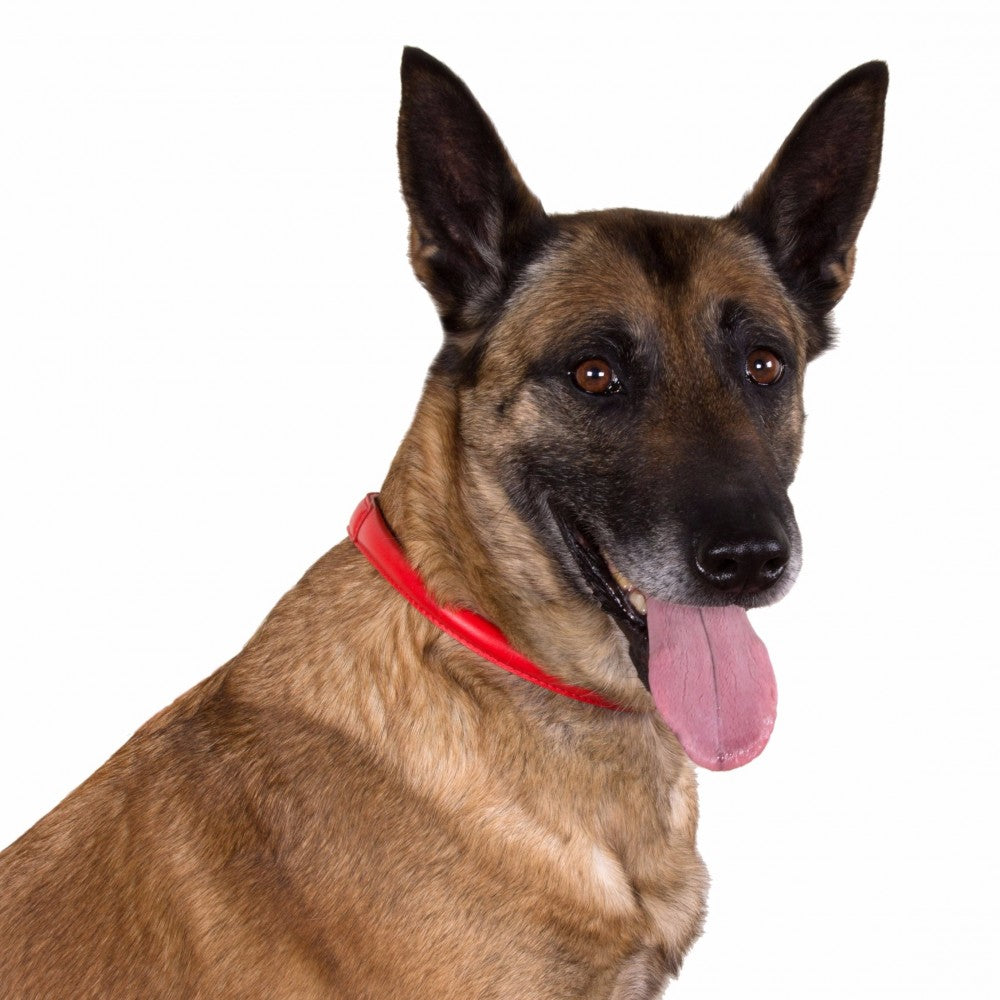 Round-stitched leather collar - COLLAR SOFT - different colours