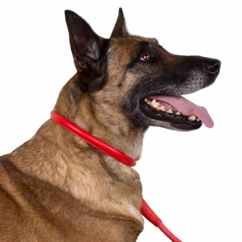Round-stitched leather collar - COLLAR SOFT - different colours