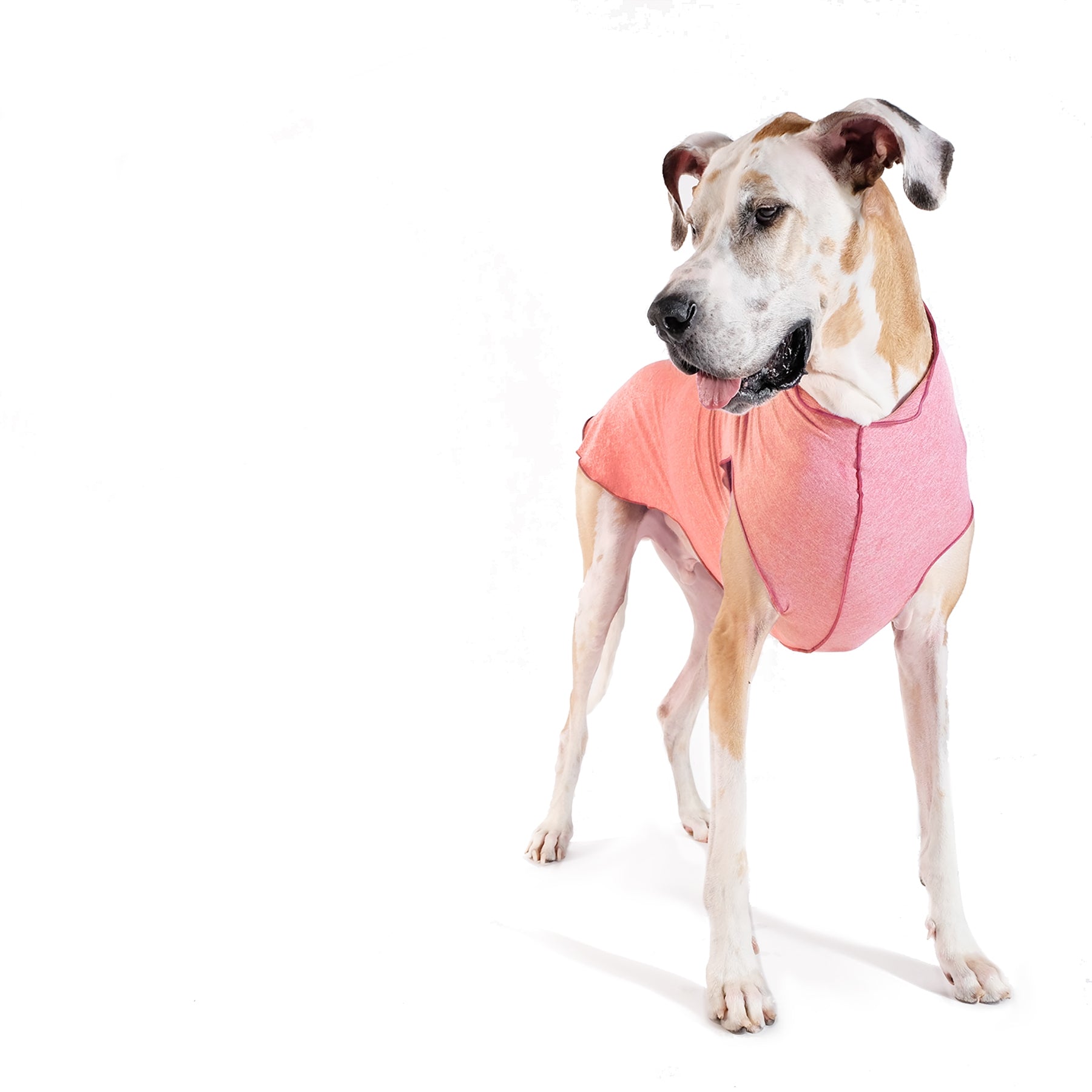 GoldPaw Sunshield Tee Pullover (Dog Coat)