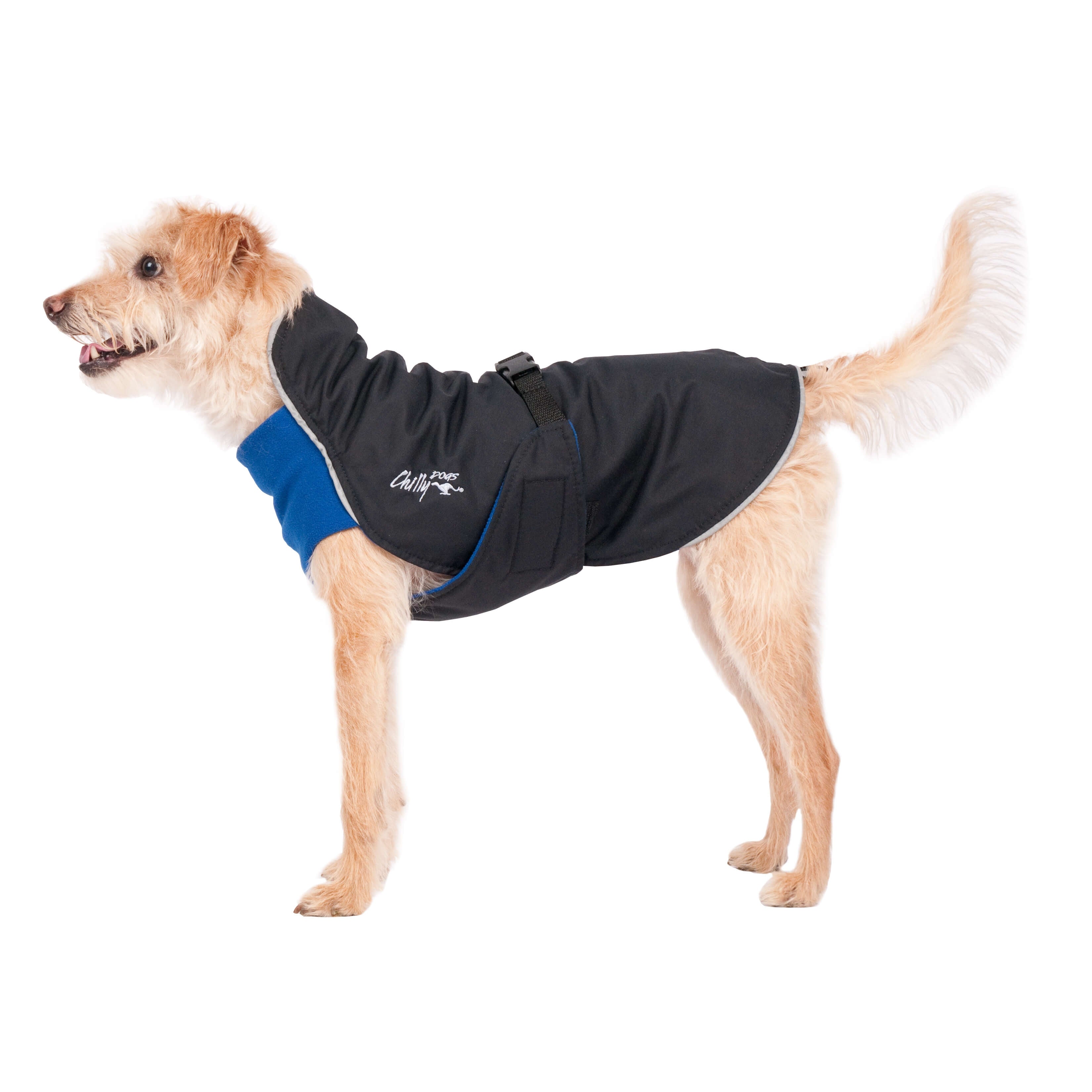 Alpine dog coat clearance