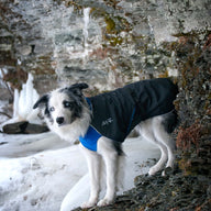 Chilly Dogs - Alpine Blazer - Waterproof dog coat - All dog breeds