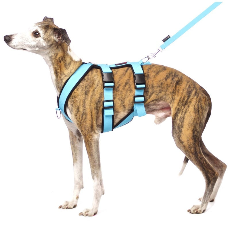 SOFA DOG Safety Sport Harness/Harness Double Y