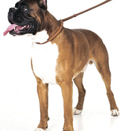 Twisted Hunting Line / Slip Line - COLLAR SOFT - brown or black - 135cm length