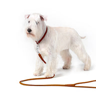 Rondgenaaide lederen hondenriem - COLLAR SOFT - zwart of bruin - 183 cm