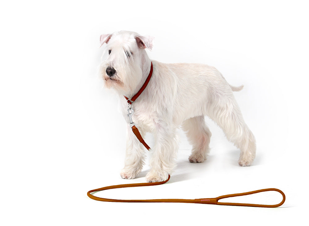 Rondgenaaide lederen hondenriem - COLLAR SOFT - zwart of bruin - 183 cm