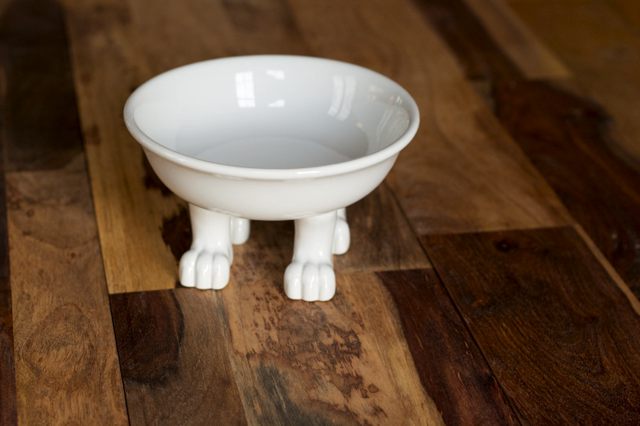 Dylan Kendall Cap &amp; Lifestyle Bowl - Medium
