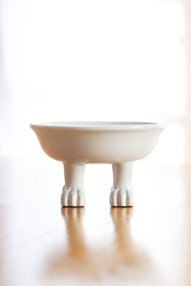 Dylan Kendall Cap &amp; Lifestyle Bowl - Medium