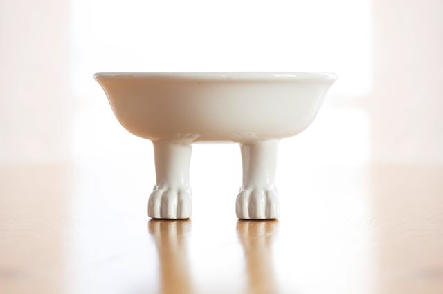 Dylan Kendall Cap &amp; Lifestyle Bowl - Medium