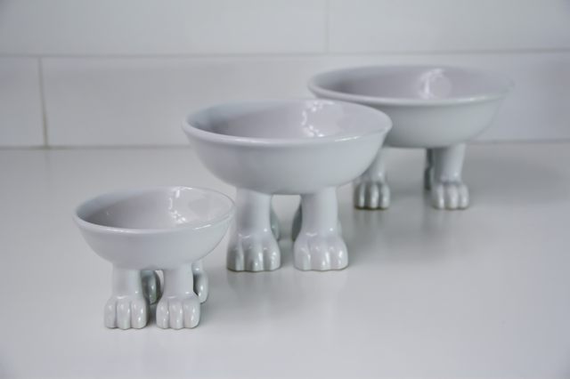 Dylan Kendall Cap &amp; Lifestyle Bowl - Medium