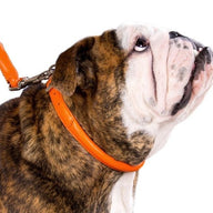 Round-stitched leather collar - COLLAR SOFT - different colours