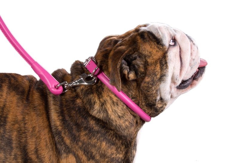 Round-stitched leather collar - COLLAR SOFT - different colours