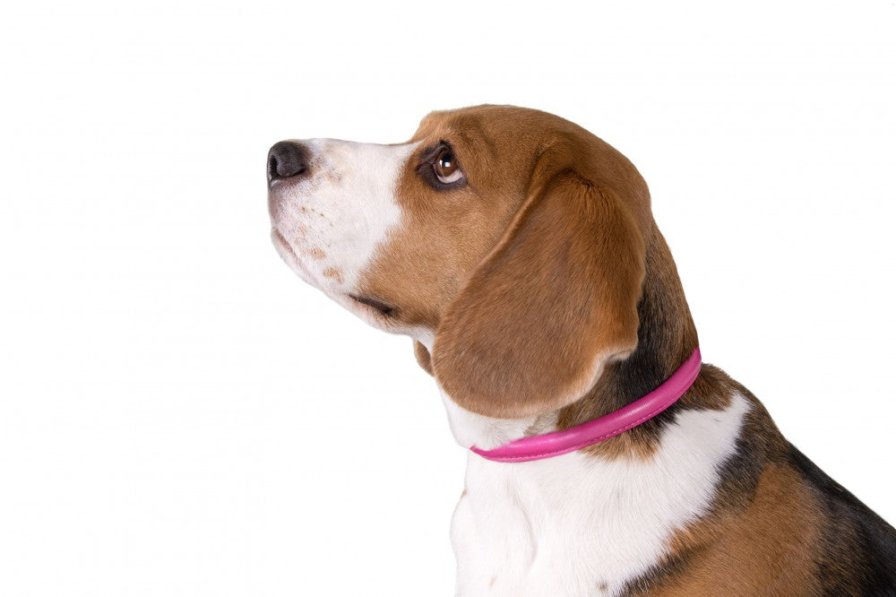 Round-stitched leather collar - COLLAR SOFT - different colours