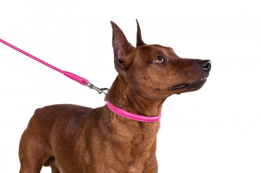 Round-stitched leather collar - COLLAR SOFT - different colours