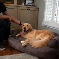 Snoozer Pet Products - Overstuffed Sofa Dog Bed - Dark Chocolate (Luxury)