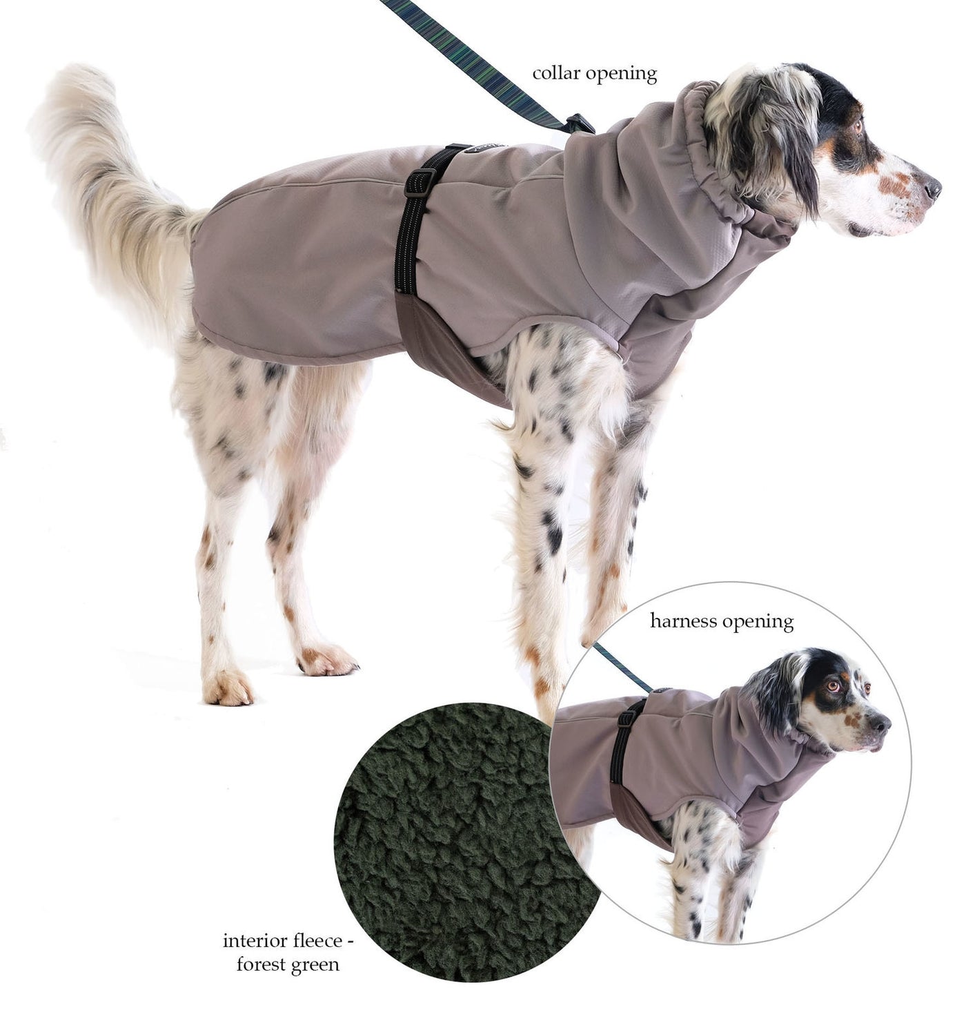 GoldPaw Waterproof Winter Paw (Dog Coat)